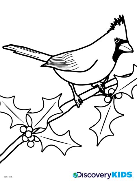Winter Birds Coloring Pages At Free Printable