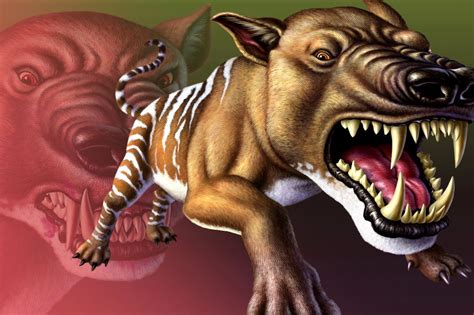 Hyaenodon By Jerry Lofaro Creatures 2d Cgsociety Wild Dogs