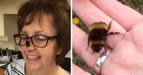 Woman Saves Wingless Bumblebee And Their Friendship Creates Buzz On The
