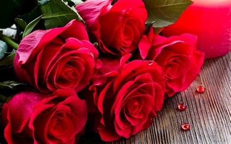 Красивые Картинки Цветов Розы Красные Telegraph