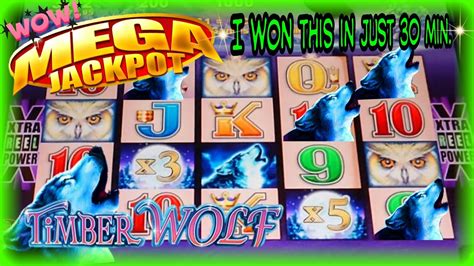 ⚠️omg Epic Mega Jackpot Ever Seen On High Limit At Timber Wolf Slot
