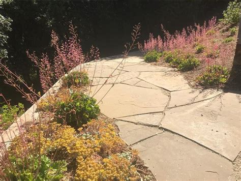 Petal And Stone