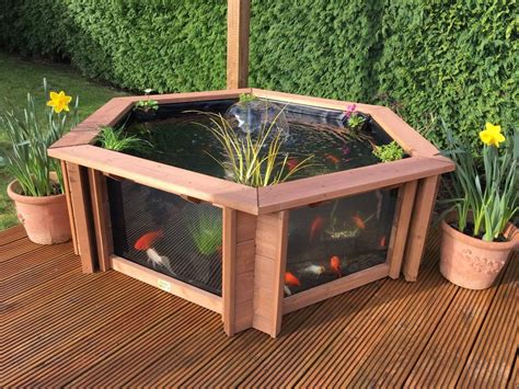 Clear View Garden Aquarium Lily Raised Pond With Fountainuv Filter