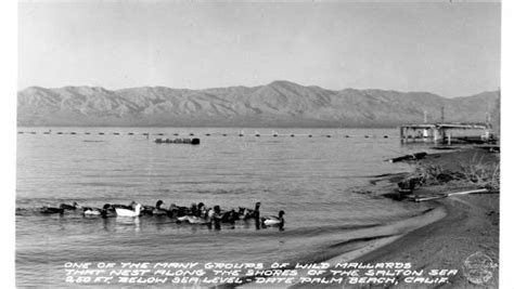 Old Salton Sea Postcards