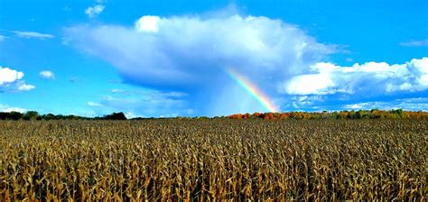 Oddly Satisfying Rainbow Cloud Over Harvest Field Roddlysatisfying
