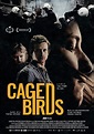 The Film Catalogue | Caged Birds
