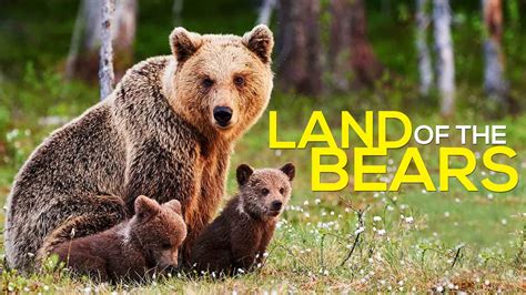 Watch Land Of The Bears Iwonder