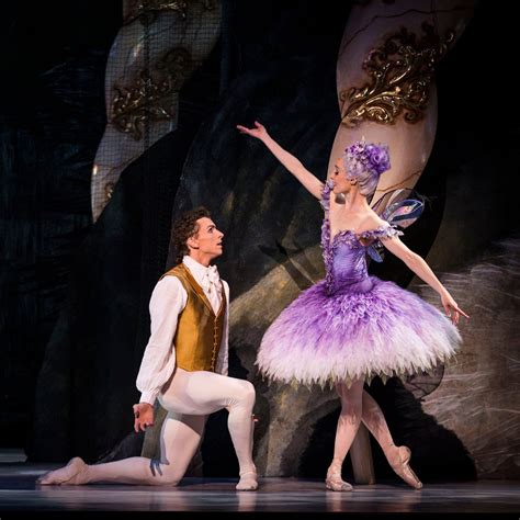 The Sleeping Beauty A Lavish Baroque Fairytale In Pictures
