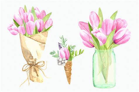 Watercolor Pink Tulips Clip Art Set 52949 Illustrations Design