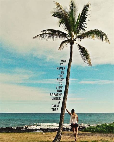Goodmorning 🌴 Beach Quotes Palm Tree Quotes Palm Trees