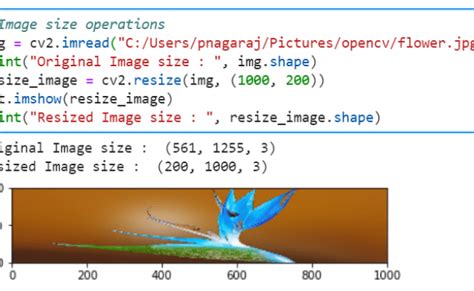 Opencv Tutorial Part 2 Resizing And Cropping The Image Using Opencv