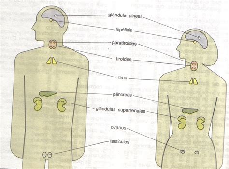 Simple Science: How to Make a Volcano with Kids