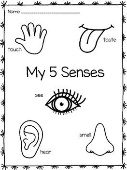 Five Senses Coloring Pages by Kristen Davis | Teachers Pay Teachers