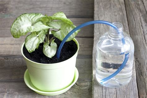 How Does A Self Watering Planter Work Hunker