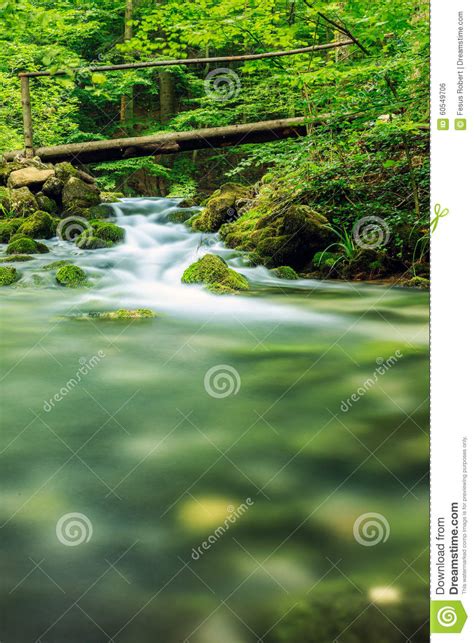 River Deep In Mountain Forest Stock Photo Image Of Forest Landscape