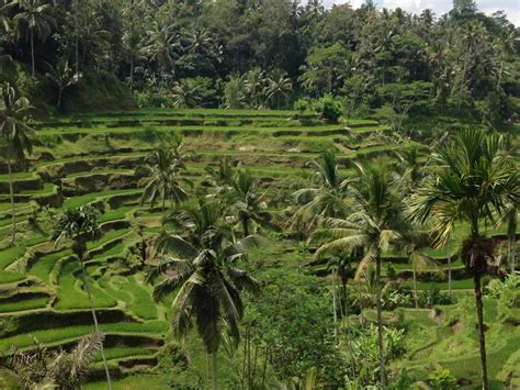 Private Ubud Tour Kuta Project Expedition