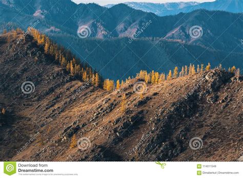 Landscapes Of The Mountains At Autumn Altai Republic Stock Image