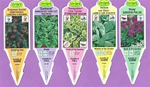 John Henry Junior Portrait Labels for 50 Plugs, ship with your plants