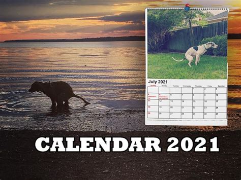 Pooping Dog Calendar 2021 Instant Download Pdf Christmas Etsy