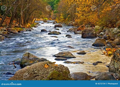 Creek In The Forest Stock Photo Image Of Hiking Relaxing 4272734