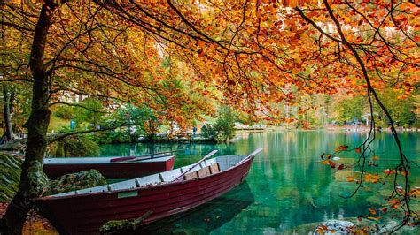 Beautiful Garden Boats On Body Of Water Surrounded By Green Yellow Red