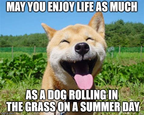 The Dog Days Of Summer Arent Over Yet Pridebites