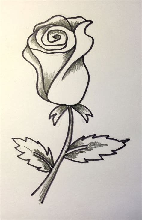 Imagenes De Rosas De Amor Para Dibujar A Lapiz Rosas Imagenes De