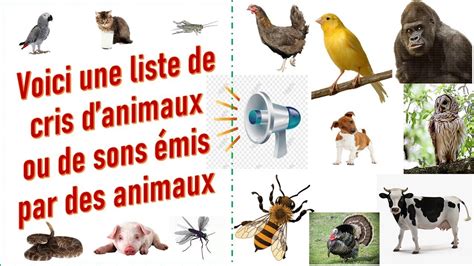 أصوات الحيوانات Les Sons émis Par Des Animaux Youtube