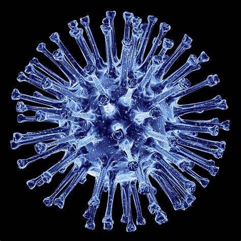 H1n1 Flu Virus Particle Artwork Photograph By Pasieka