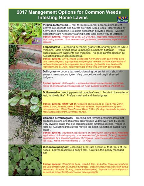 Weed Identification Chart Uk