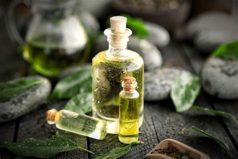 Acnes, that reside in hair follicles and can cause acne and inflammation. Oral Benefits of Tea Tree Oil - Today's RDH