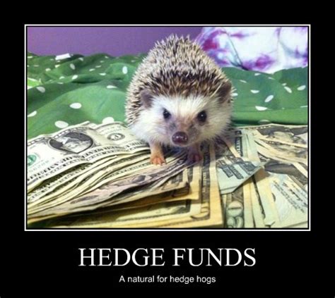 Hedge funds also make use of leveraged assets in the investment strategy. A Prickly Financial Advisor - Animal Comedy - Animal ...