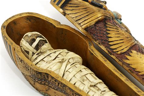 Check Out This Wonder Of The Day Can You Unwrap A Mummy Ancient