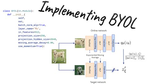 Byol Tutorial Self Supervised Learning On Cifar Images With Code In