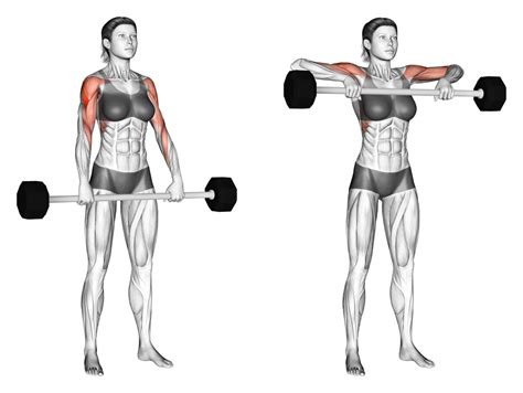 Upright Row Alternatives How To Target The Shoulders Lifting Faq