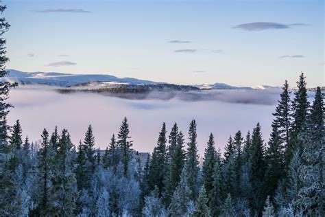 3840x2560 Clouds Environment Foggy Forest Grass Hazy Misty