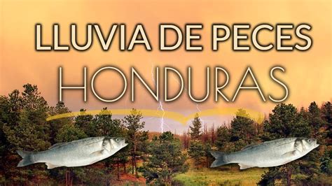 This map was created by a user. Lluvia de Peces en Yoro Honduras - YouTube