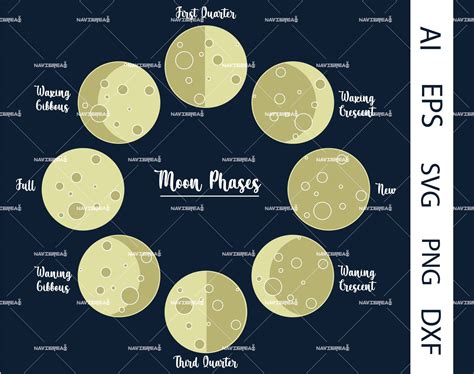 Moon Phases Svg Bundle Moon Phases Svg Png For Cricut Etsy