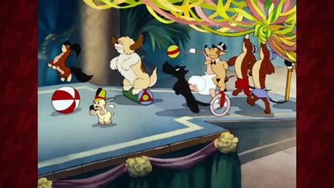 Society Dog Show A Classic Mickey Cartoon Have A Laugh Video