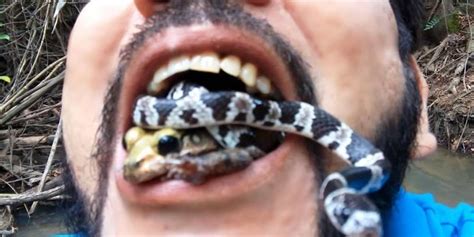 The Guy Putting Snakes In His Mouth For The Rainforest Should