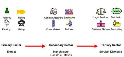 Sectors Of Economy And Types Of Economy Based On Sectors Civil Aspirant