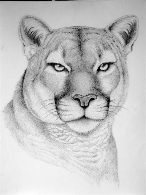 Maybe you would like to learn more about one of these? Wild Animal Drawings on Behance