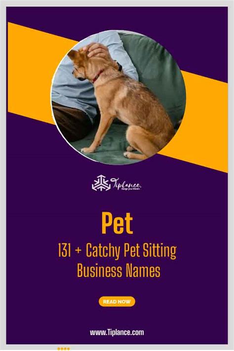 Pet Sitting Business Names Tiplance