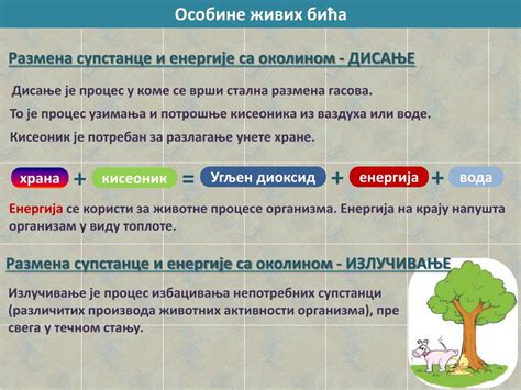 Ppt Osobine Zivih Bica Powerpoint Presentation Free Download Id