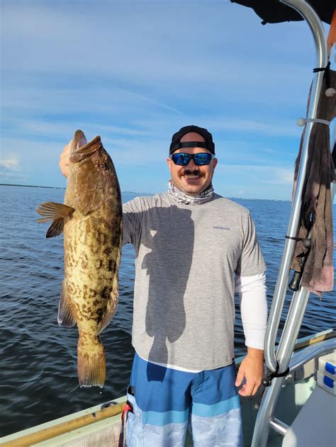 Tampa Bay Fishing Report Bass N Bay Charters