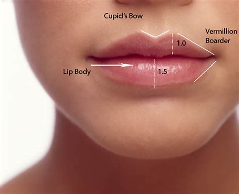 Perfect Lips News