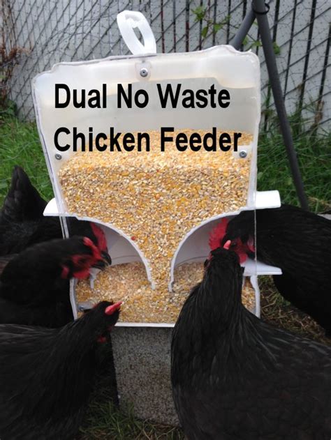 waste rodent  chicken feeders diy living center oregon