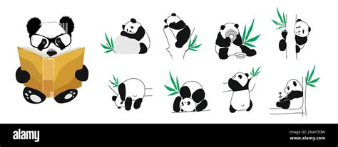 Set Of Little Cute Pandas In Different Poses Vector Illustrations