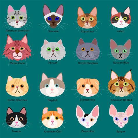 Pin By Cats Lovers Club On Cats Breeds Cat Face Cat Crafts Cat Art