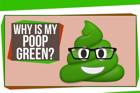 What Causes Green Poop As Bad As The Word Sounds Pooping Is A By